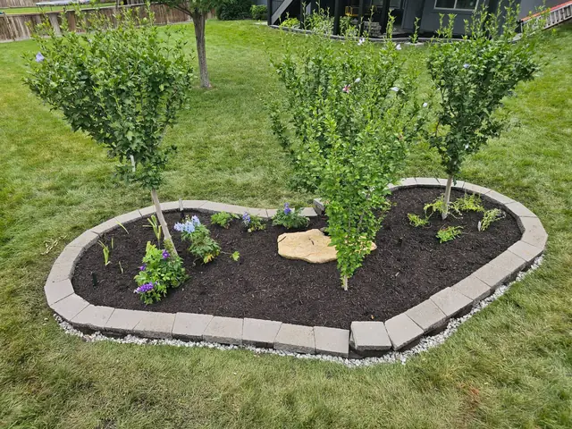 Curved island bed edged in block pavers with young trees and fresh mulch.