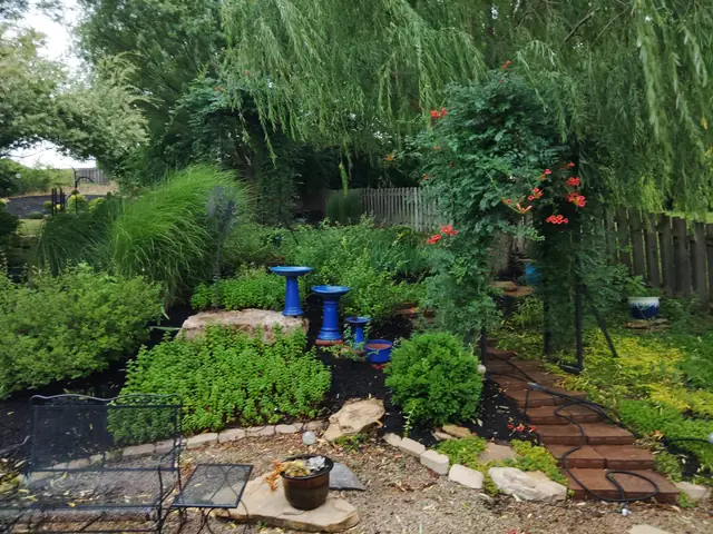 Mature cottage-style garden with a stone path, mixed plantings and a willow.